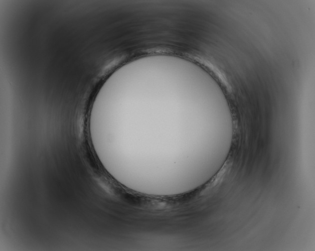 X0000088190159200705151006