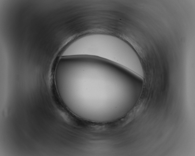 X0000088190160200705151006