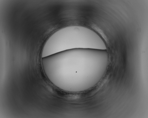 X0000088190161200705151006