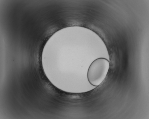 X0000088190162200705151006