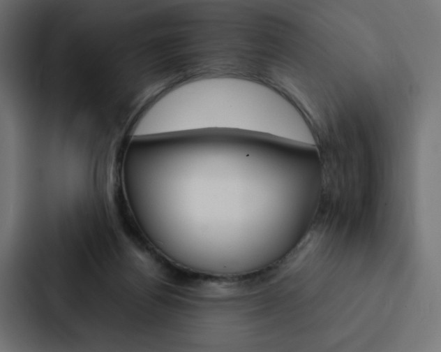 X0000088190164200705151006