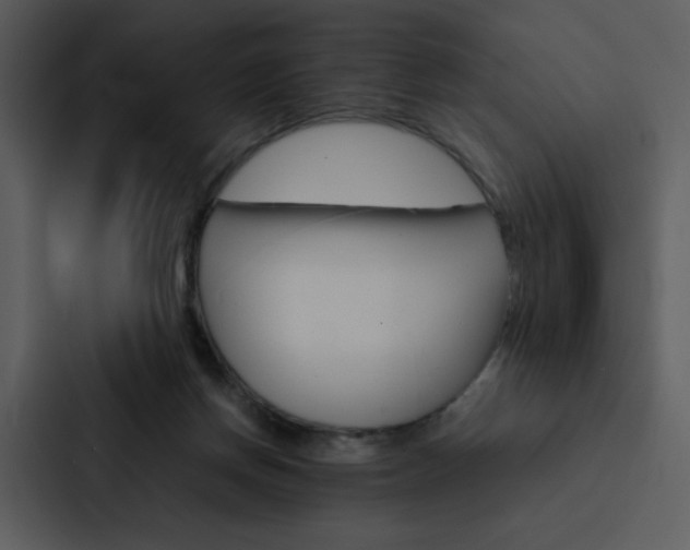 X0000088190166200705151006