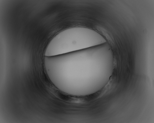 X0000088190167200705151006