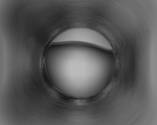 X0000088190168200705151006
