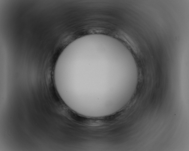 X0000088190169200705151006