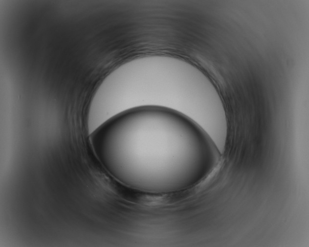 X0000088190170200705151006