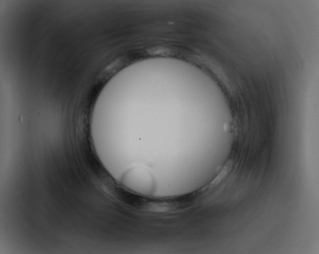 X0000088190171200705151006