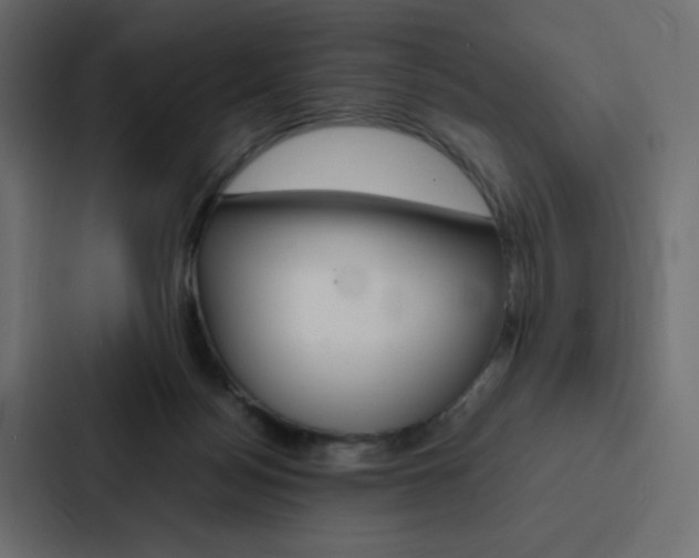 X0000088190172200705151006