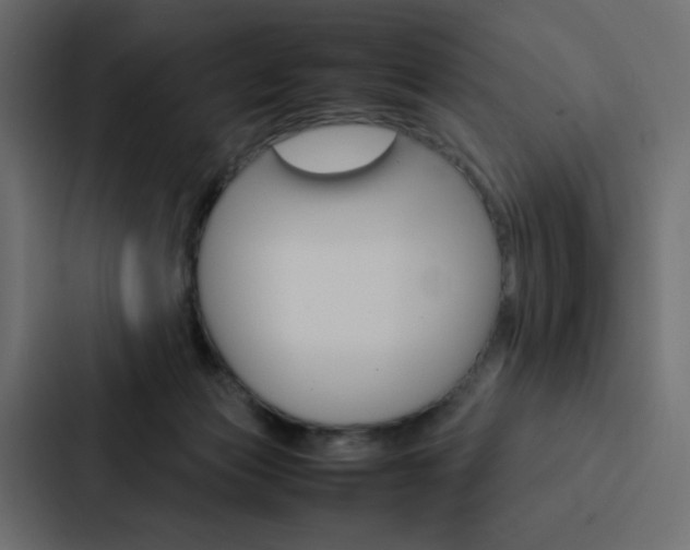 X0000088190173200705151006