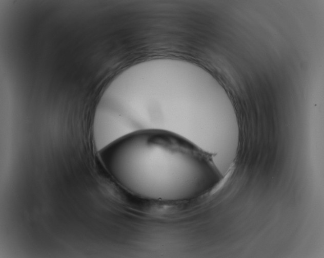 X0000088190174200705151006