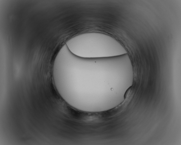 X0000088190175200705151006