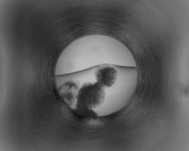 X0000088190177200705151006