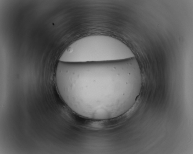 X0000088190178200705151006