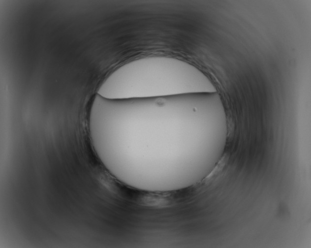 X0000088190179200705151006