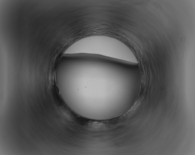 X0000088190180200705151006