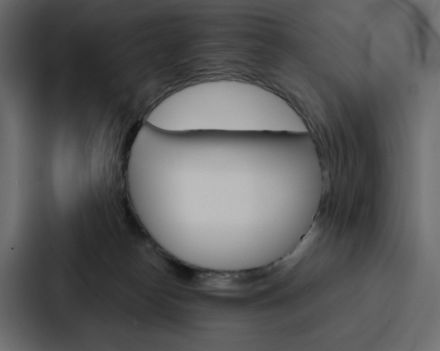 X0000088190182200705151006