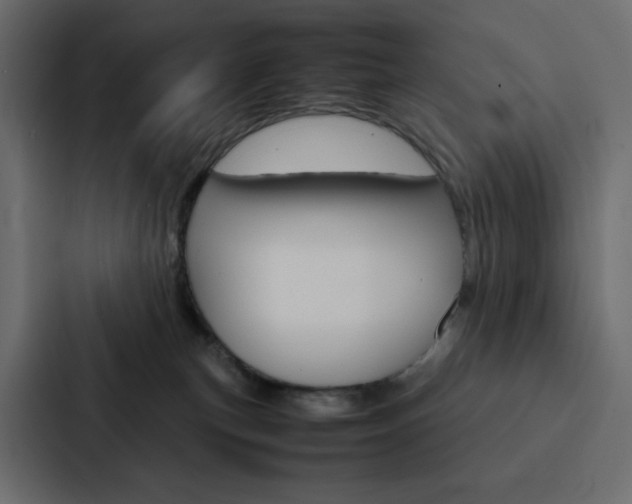 X0000088190183200705151006