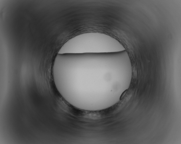X0000088190185200705151006