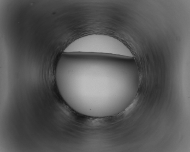 X0000088190186200705151006