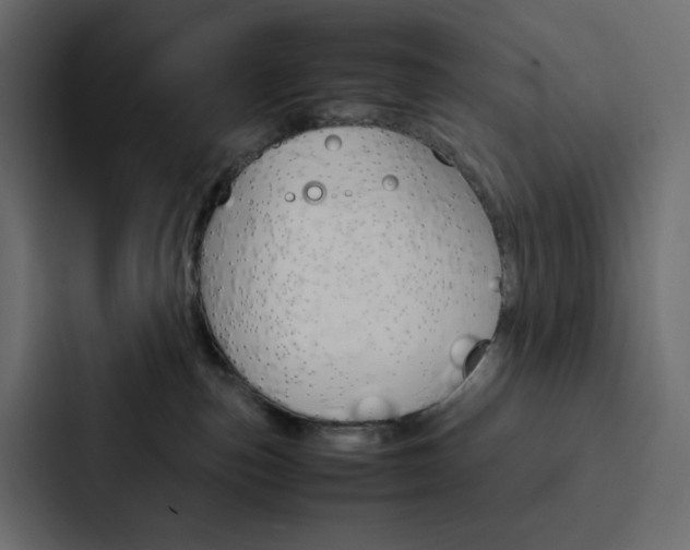 X0000088190187200705151006