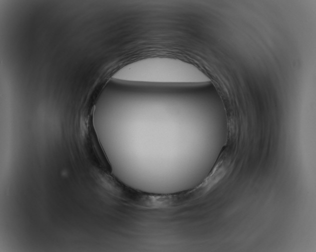 X0000088190188200705151006