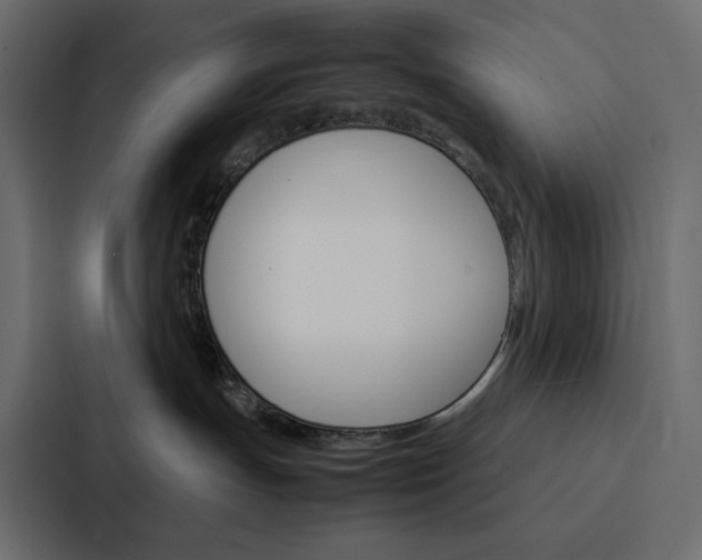 X0000088190191200705151007