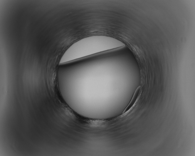 X0000088190192200705151007