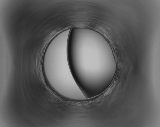 X0000088190193200705151006