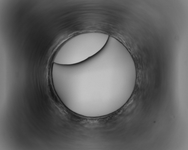 X0000088190194200705151006
