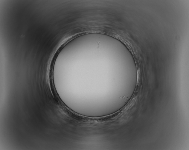 X0000088190195200705151006