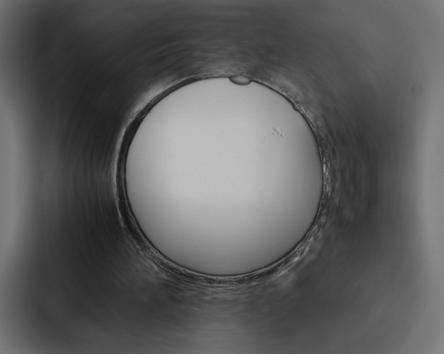 X0000088190196200705151006