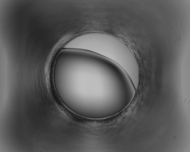 X0000088190197200705151006