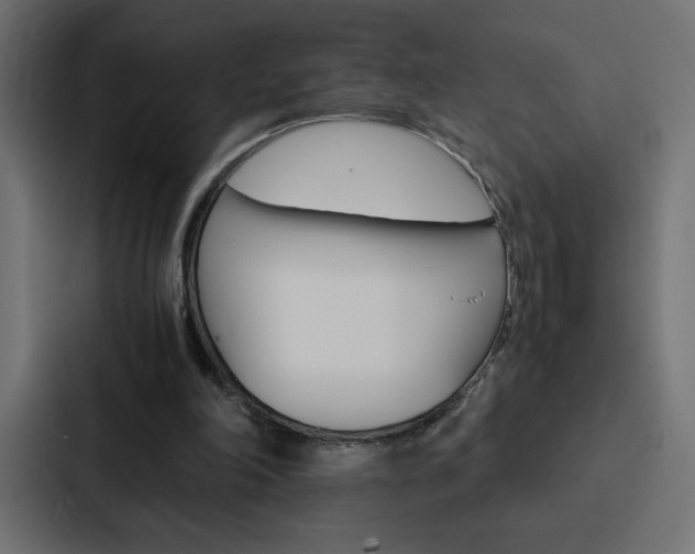 X0000088190198200705151006