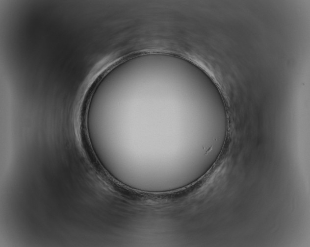 X0000088190199200705151006