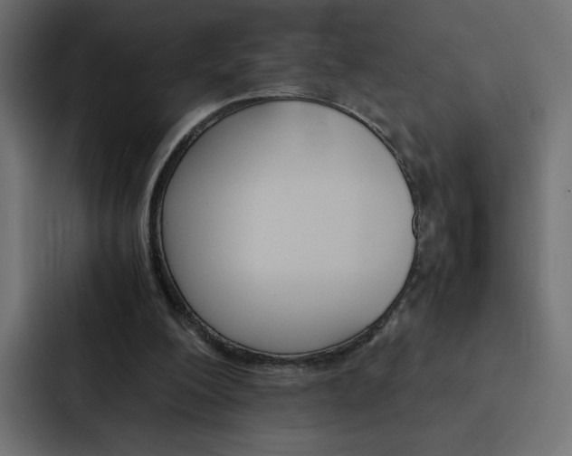 X0000088190200200705151006