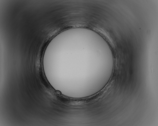 X0000088190202200705151006