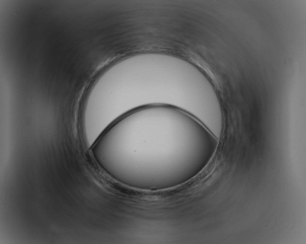 X0000088190203200705151006