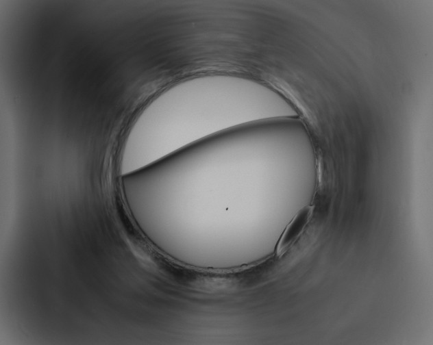 X0000088190205200705151006