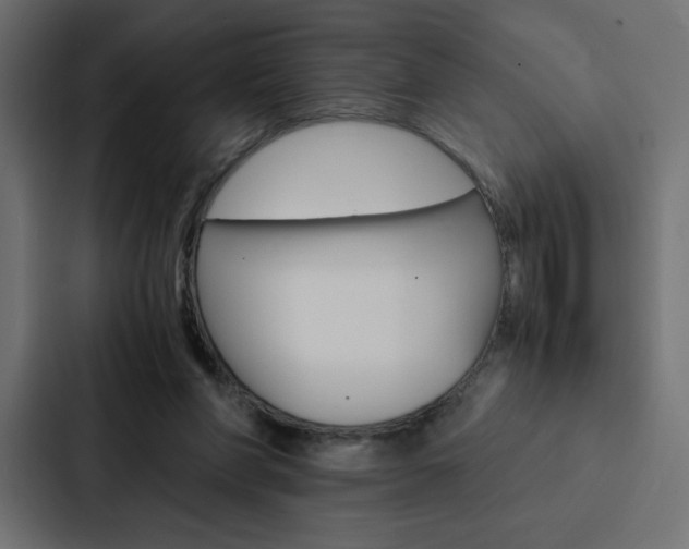 X0000088190206200705151006