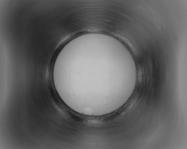 X0000088190208200705151006