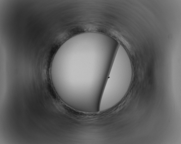 X0000088190209200705151006