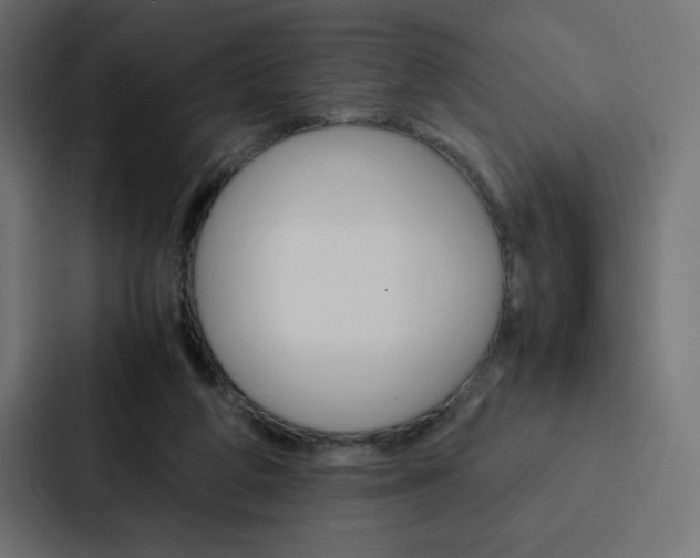 X0000088190210200705151006