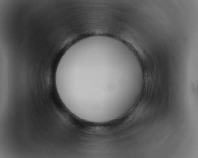 X0000088190212200705151006
