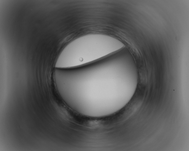 X0000088190216200705151006