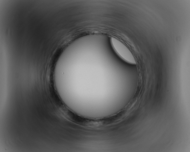 X0000088190217200705151006