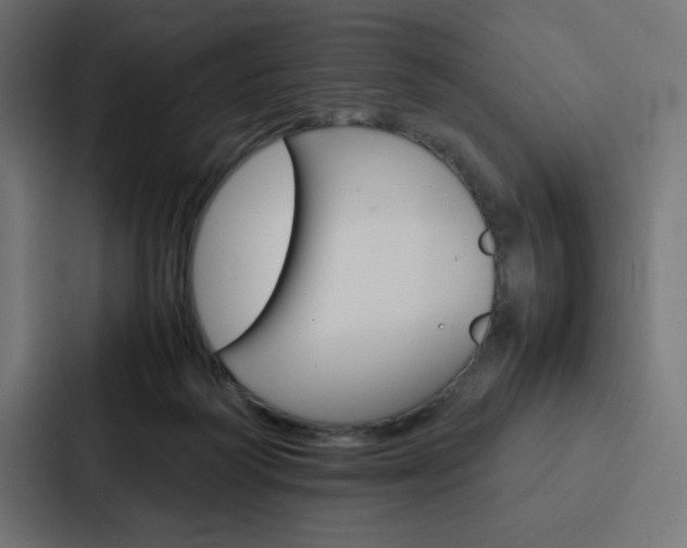 X0000088190218200705151006