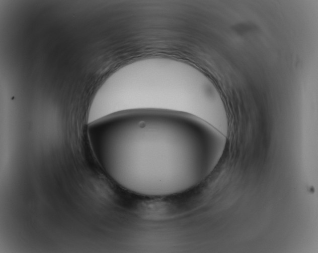 X0000088190219200705151006