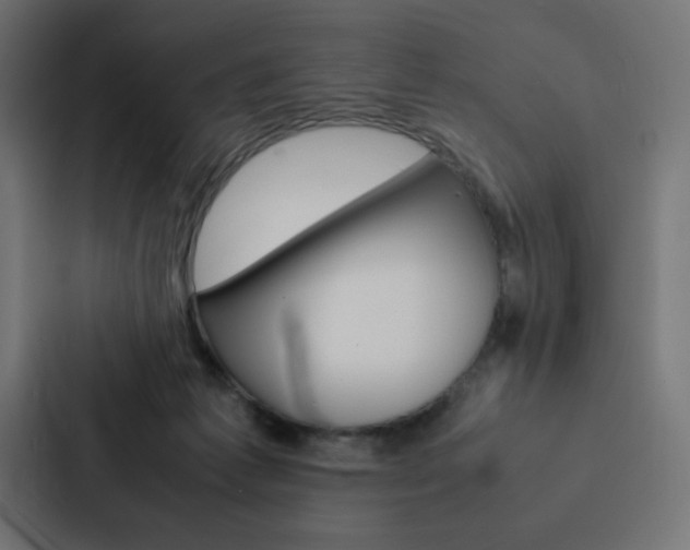 X0000088190221200705151006