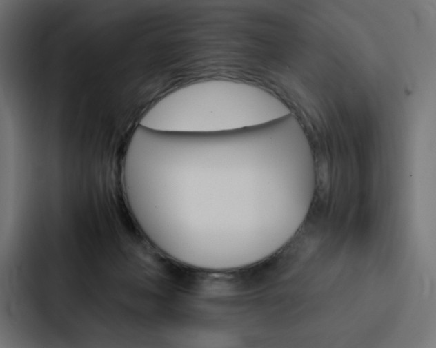 X0000088190222200705151006