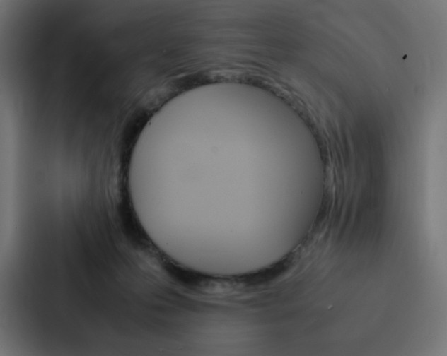 X0000088190223200705151006